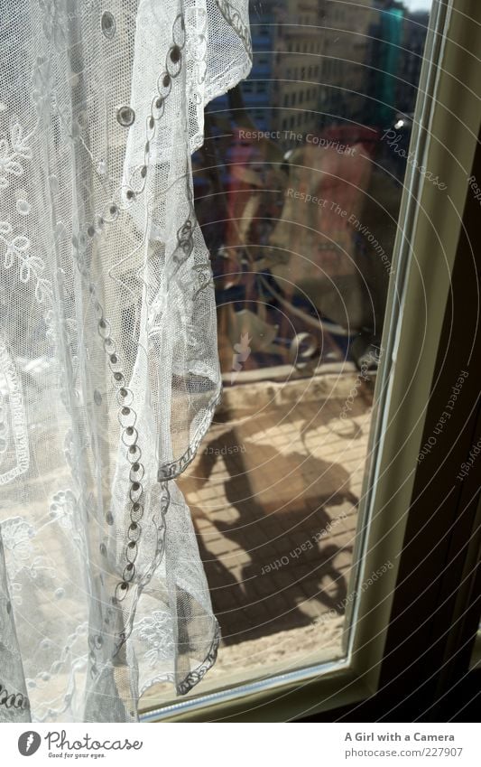 beyond Altstadt Haus Fenster hängen authentisch außergewöhnlich einfach schön Kitsch weiß Vorhang Netz abwärts Fensterscheibe Fensterrahmen Schönes Wetter