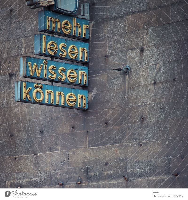 Hauptsache mehr Bildung lernen Bibliothek Mauer Wand Fassade Schriftzeichen retro Wissen Typographie Buchstaben Leuchtreklame lesen talentiert Wort Farbfoto