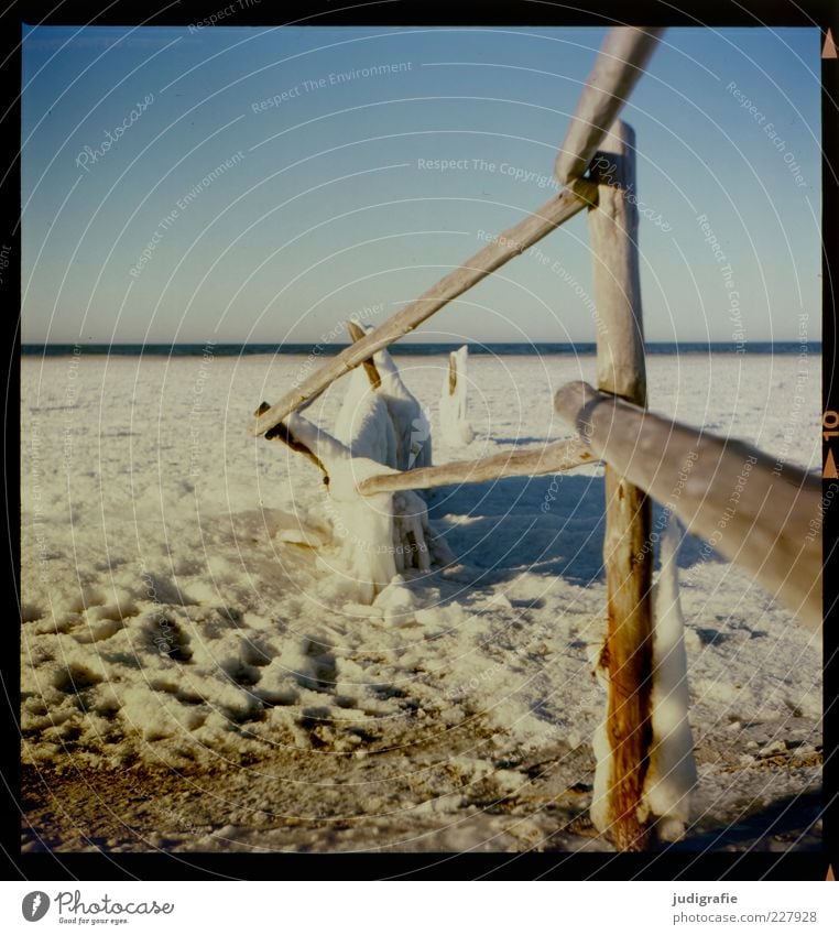 Darßer Ort Umwelt Natur Landschaft Himmel Wolkenloser Himmel Winter Klima Eis Frost Schnee Küste Strand Ostsee darßer ort kalt Stimmung Farbfoto Außenaufnahme