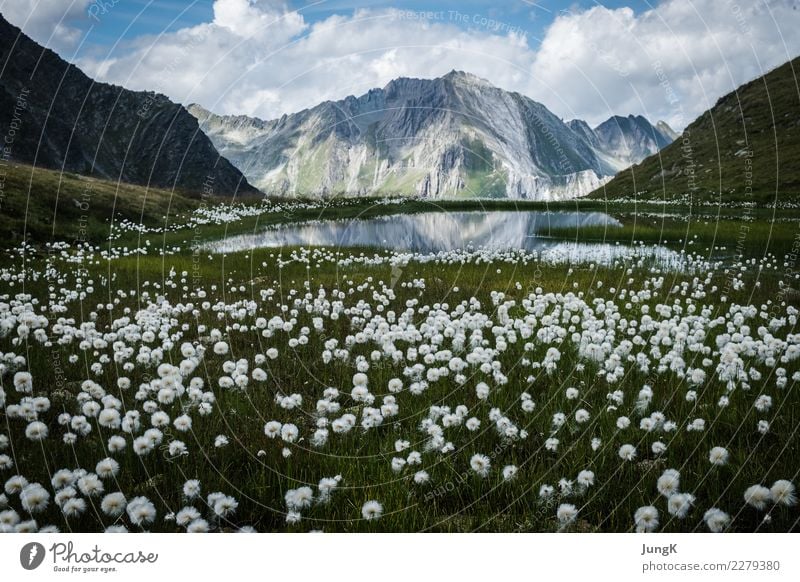 Traumschön Glück harmonisch Wohlgefühl ruhig Meditation Ferien & Urlaub & Reisen Berge u. Gebirge wandern Klettern Bergsteigen Natur Landschaft Sommer Alpen See