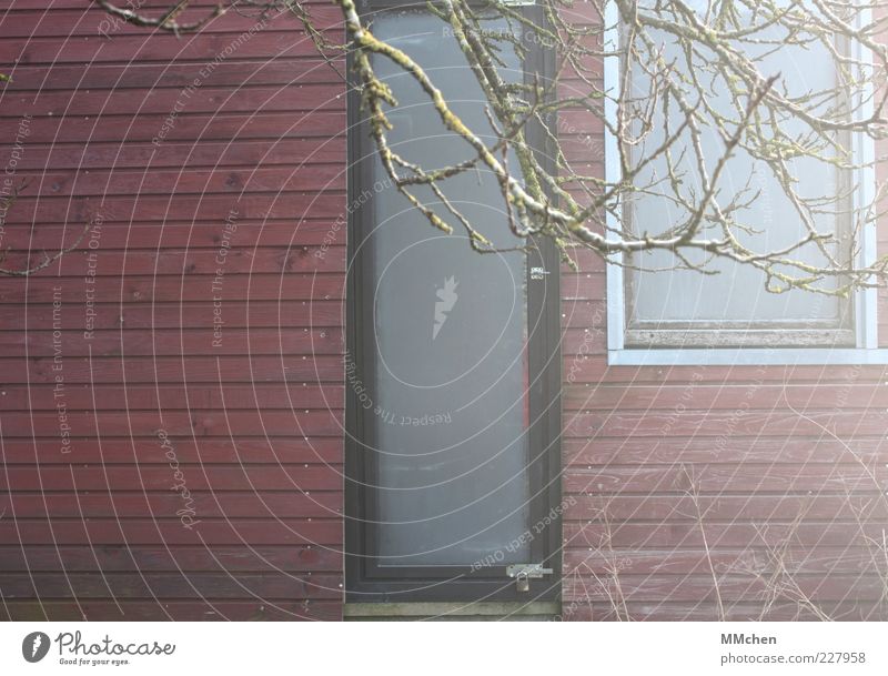 Guten Morgen, Sonnenschein! Häusliches Leben Wohnung Haus Schönes Wetter Hütte Fassade Fenster Tür leuchten rot Zweige u. Äste Dunst beschlagen Farbfoto