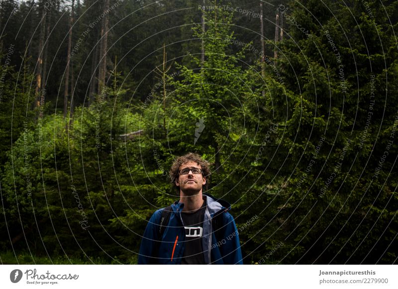 Da oben harmonisch ruhig Abenteuer Freiheit Berge u. Gebirge wandern Wald Nadelwald Orientierung maskulin 1 Mensch Pflanze schlechtes Wetter Regen Baum Brille