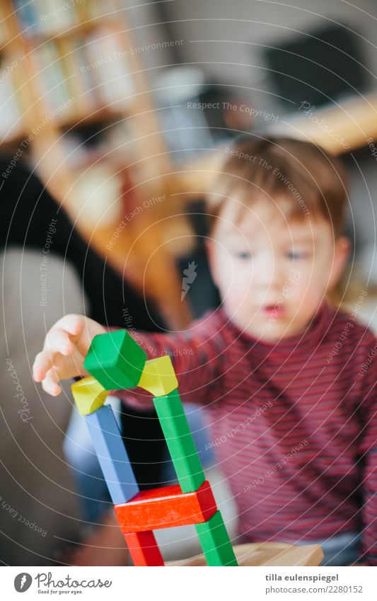 Baumeister Freizeit & Hobby Spielen Kinderspiel Kleinkind Junge Kindheit 1 Mensch Spielzeug bauen berühren Bewegung fallen festhalten geduldig Neugier Interesse