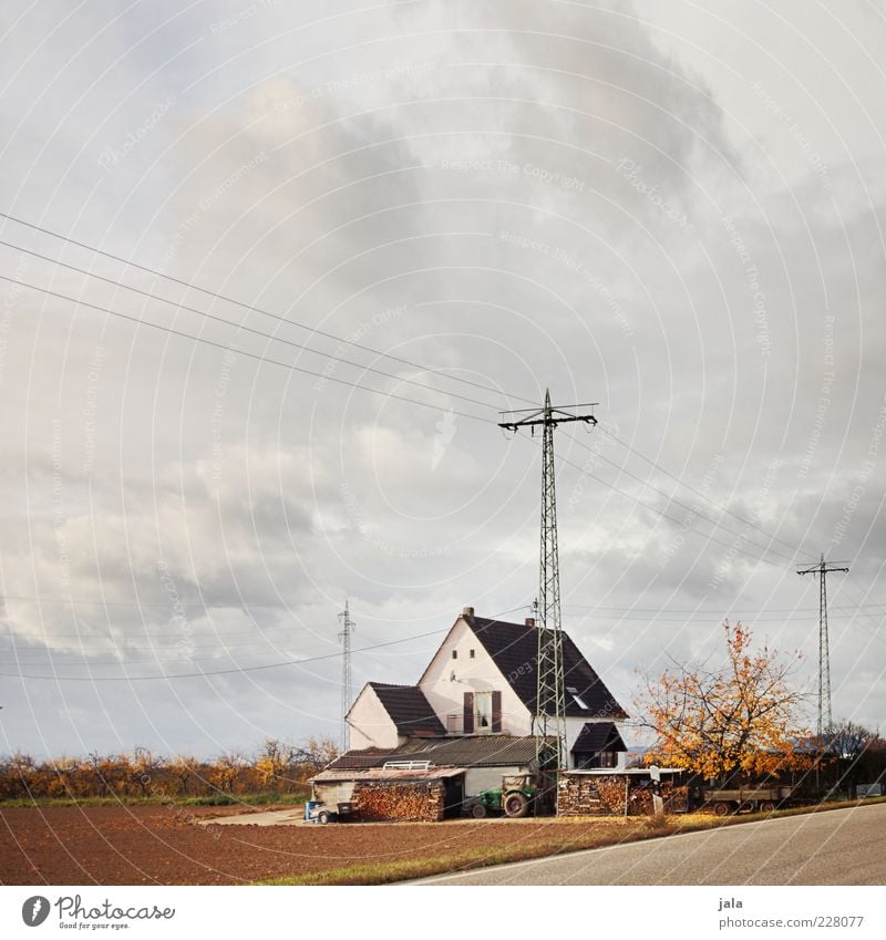 eigenheim Landschaft Himmel Wolken Herbst Pflanze Baum Feld Haus Bauwerk Gebäude Architektur trist Strommast Bauernhof Traktor Farbfoto Außenaufnahme