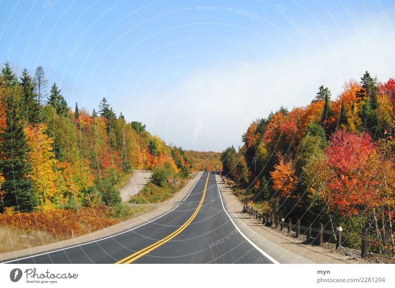 Indian Summer Ferien & Urlaub & Reisen Tourismus Ausflug Abenteuer Ferne Freiheit Umwelt Natur Landschaft Himmel Herbst Schönes Wetter Baum Park Wald Verkehr