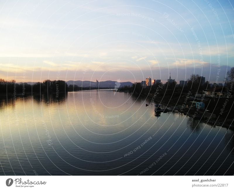 Donauinsel Licht violett Baum Panorama (Aussicht) Wasser sone blau spiegelund groß