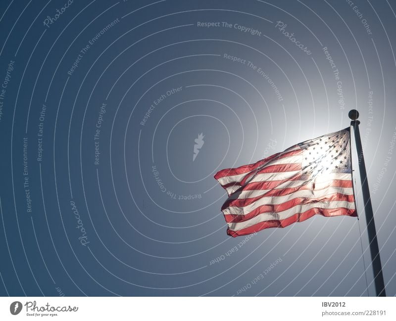 Amerika entdeckt die Sonne Lifestyle Freiheit USA Kalifornien Fahne Stars and Stripes Fahnenmast Himmel blau Blauer Himmel Farbfoto Außenaufnahme Tag