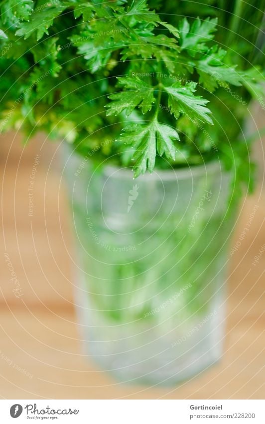 Petersilie Lebensmittel Kräuter & Gewürze Ernährung Bioprodukte Vegetarische Ernährung Glas frisch grün Foodfotografie Farbfoto Innenaufnahme Nahaufnahme