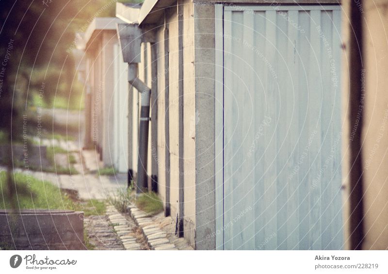 Garagenweg Sommer Gras Mauer Wand Stein Metall stehen alt eckig klein nah blau grün schwarz Sicherheit Schutz Ordnungsliebe Nostalgie Wege & Pfade