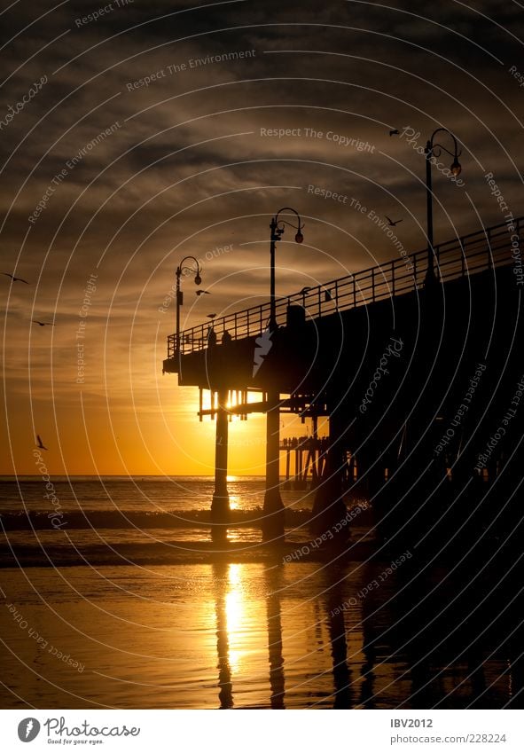 California Dreamin' Ferien & Urlaub & Reisen Tourismus Ferne Freiheit Sonne Strand Meer Wellen Wasser Himmel Wolken Küste Romantik Pause Steg Santa Monica