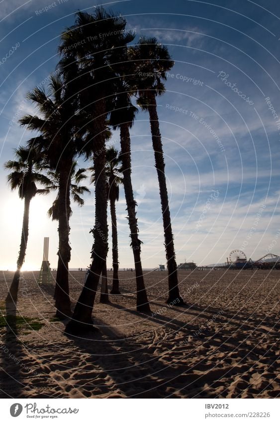 Venice Beach Ferien & Urlaub & Reisen Tourismus Sightseeing Städtereise Strand Meer Sand Himmel Wolken Sonne Los Angeles Santa Monica Kalifornien USA Amerika