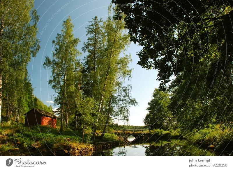 ich trink drüber nach Natur Landschaft Sommer Schönes Wetter Baum Wald Teich See Schweden Hütte blau grün rot Idylle Zufriedenheit Reflexion & Spiegelung Wasser