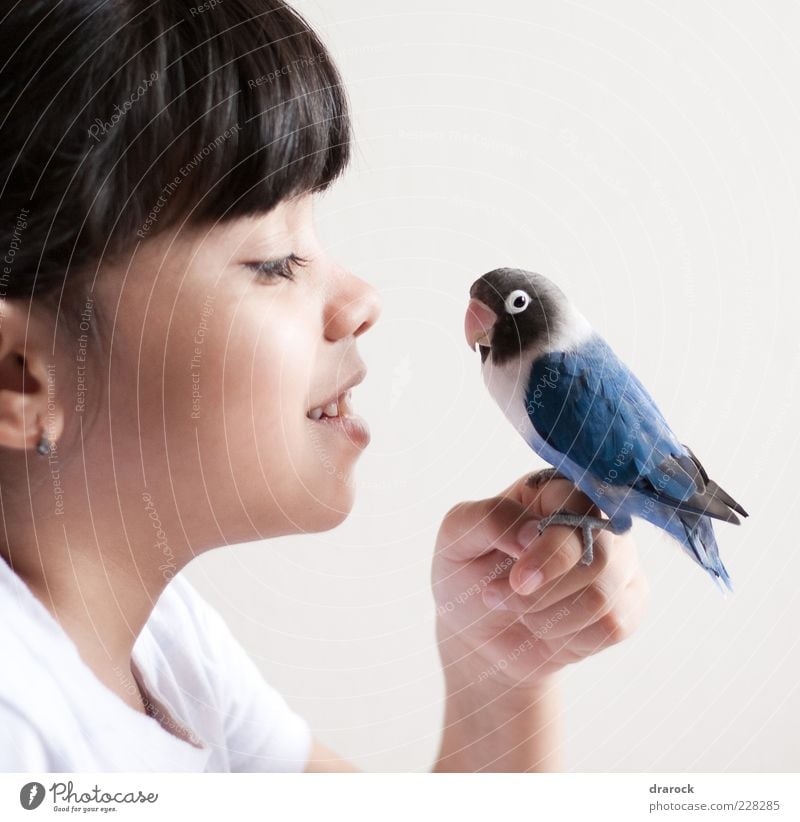 Vögelchen blau Kind Mädchen Kindheit Kopf 1 Mensch 3-8 Jahre Tier Haustier Vogel Papageienvogel Kramer Sittich Agapornis Wellensittich Schnabel Feder