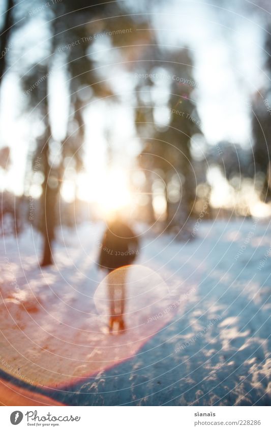 kopfleuchten Wohlgefühl Winter Schnee Mensch maskulin androgyn 1 Umwelt Natur Wald stehen Blendeneffekt Blendenfleck anonym mystisch Idee Brainstorming heilig