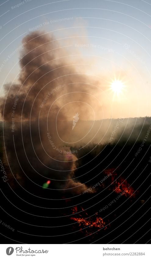 wachsen und gedeihen | wenn erst einmal angefacht! Wiese Feld heiß Feuer Rauch Sonne Osterfeuer Feuerstelle Waldbrand brennen dunkel Farbfoto Außenaufnahme