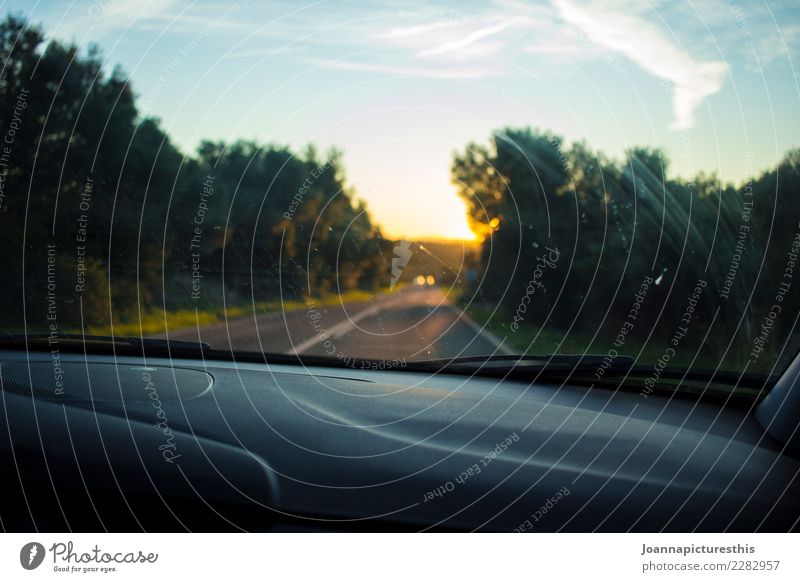 Road Trip Ausflug Abenteuer Ferne Freiheit Landschaft Sonnenaufgang Sonnenuntergang Sommer Schönes Wetter Wald Verkehrsmittel Verkehrswege Straße PKW