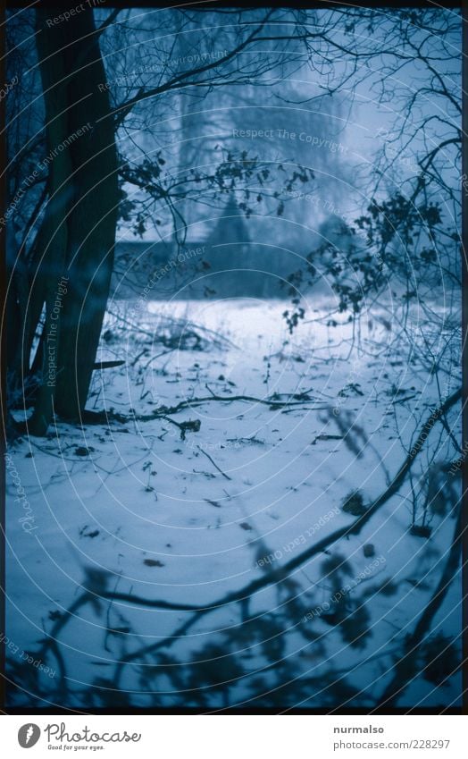 finster Winter Umwelt Natur Klima schlechtes Wetter Park Wald Haus Hütte Jagdrevier Holzhaus dunkel gruselig kalt trist unheimlich Märchen Frost Morgen