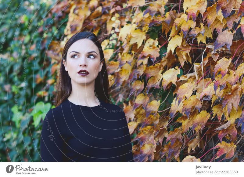 Schöne junge Frau mit Herbstblättern. Lifestyle Stil Glück schön Haare & Frisuren Mensch feminin Junge Frau Jugendliche Erwachsene 1 18-30 Jahre Straße Mode