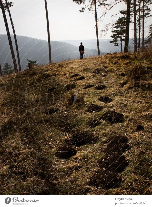 Ein Männlein steht im Walde... Erholung ruhig Ausflug 1 Mensch Landschaft Schönes Wetter Baum Wiese Hügel beobachten stehen träumen frei blau braun gelb