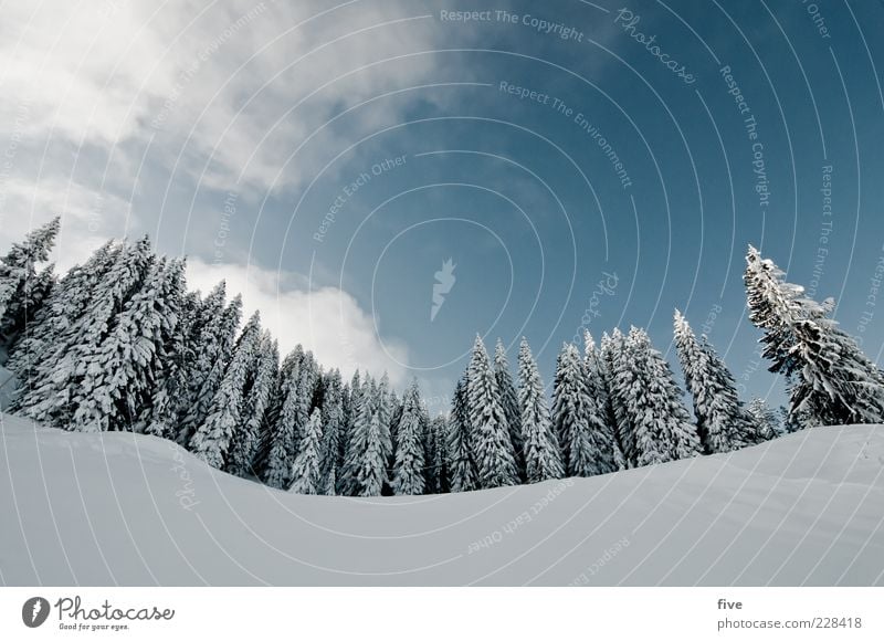 für carlitos mit objektivkorrektur Skipiste Natur Himmel Wolken Winter Wetter Schönes Wetter Schnee Pflanze Baum Wald Hügel Alpen Berge u. Gebirge kalt