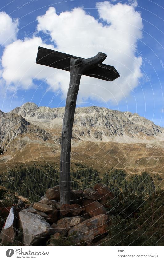 quo vadis ... Ferne Freiheit Berge u. Gebirge Umwelt Natur Landschaft Pflanze Himmel Wolken Herbst Schönes Wetter Baum Hügel Felsen Alpen Gipfel Sicherheit klug