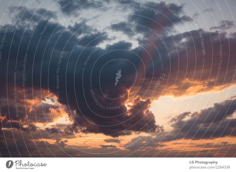 Drastischer bunter bewölkter Sonnenuntergang. schön Sommer Meer Tapete Natur Landschaft Himmel Wolken Horizont Küste See blau gelb weiß Farbe Aussicht orange