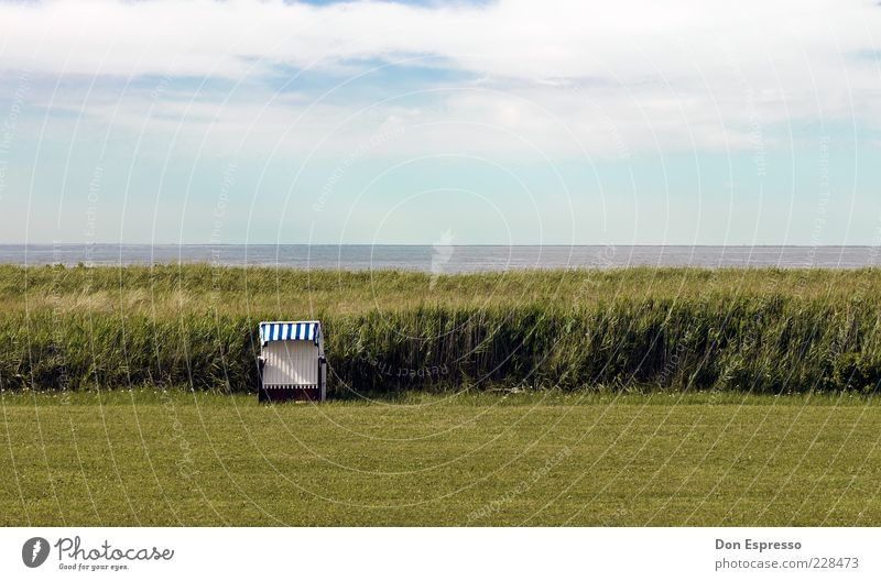 Windgeschützt Sommer Strand Meer Umwelt Natur Landschaft Wasser Himmel Frühling Schönes Wetter Gras Küste Seeufer Bucht Fjord Nordsee Erholung weich