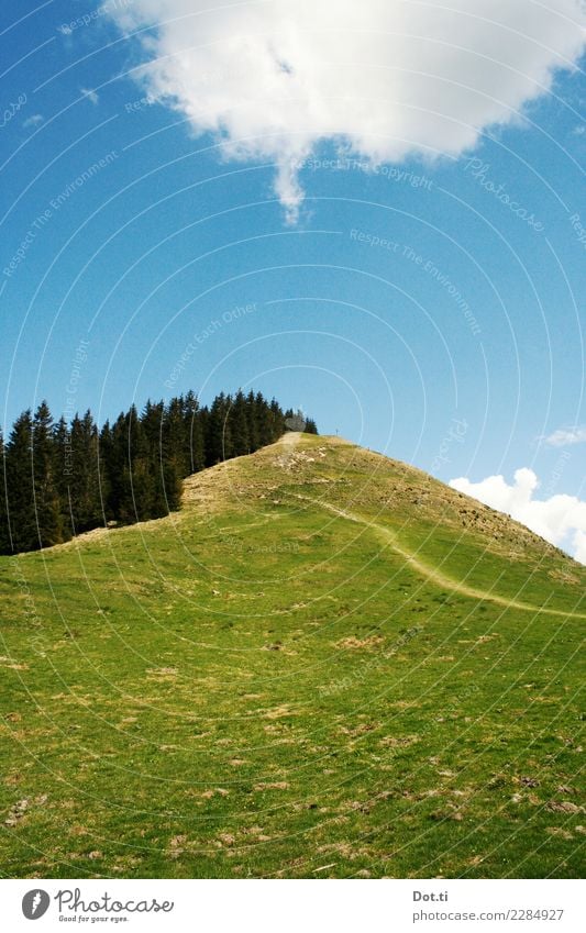 Hörnle Natur Landschaft Himmel Wolken Gras Wiese Wald Alpen Berge u. Gebirge Gipfel wandern blau grün Wege & Pfade Ziel Steigung Bayern alpin besteigen Fußweg