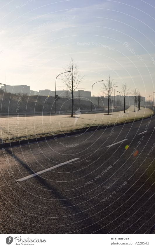 Asphalt Dschungel Ferne Himmel Winter Schönes Wetter Eis Frost Baum Stadtrand Straßenverkehr Autofahren Mittelstreifen Unendlichkeit trist blau grau Stimmung