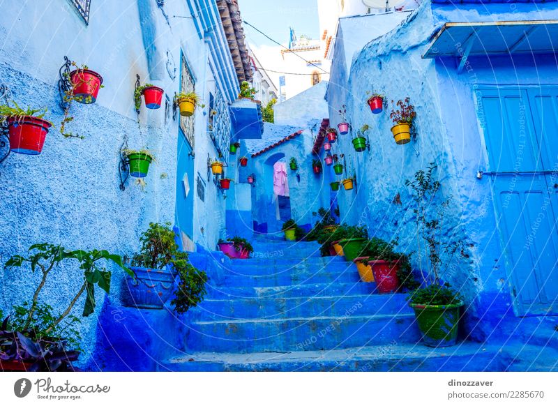 Blaue Straße in Chefchaouen, Marokko Topf Ferien & Urlaub & Reisen Tourismus Berge u. Gebirge Haus Kultur Pflanze Blume Dorf Stadt Gebäude Architektur Treppe