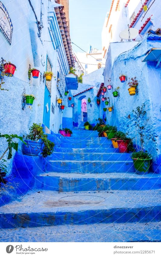 Blaue Straße in Chefchaouen, Marokko Topf Ferien & Urlaub & Reisen Tourismus Berge u. Gebirge Haus Kultur Pflanze Blume Dorf Stadt Gebäude Architektur Treppe