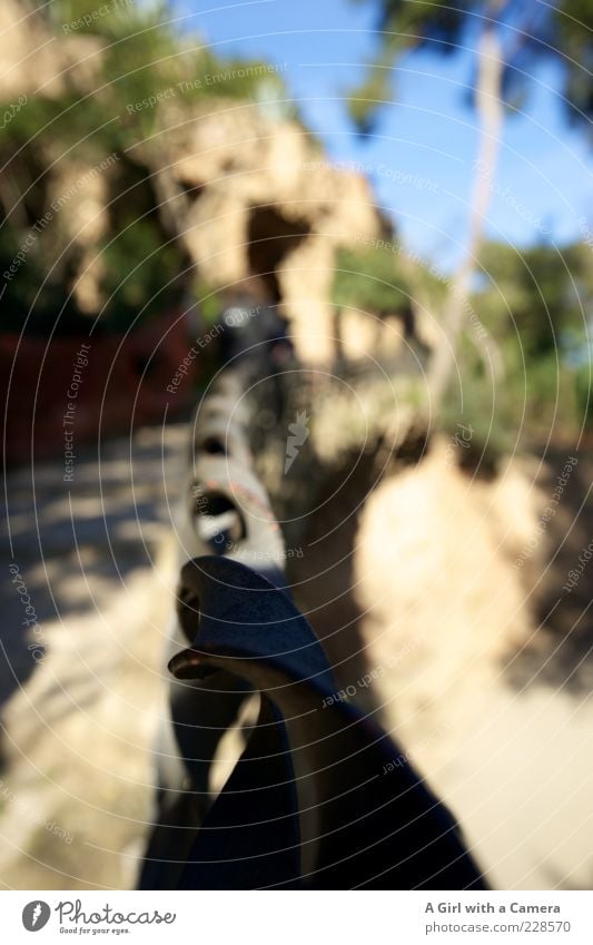 Park Güell - entlang des Weges Wolkenloser Himmel Schönes Wetter Barcelona Sehenswürdigkeit Zaun Stein Sand Metall Identität Idylle Schlaufe schön Farbfoto