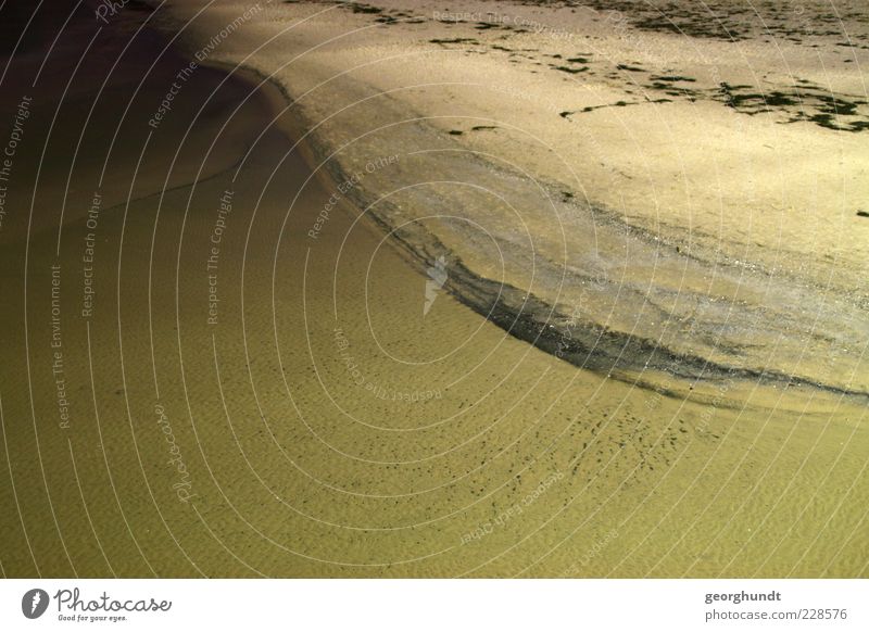 Binzer Nacht Umwelt Natur Landschaft Sand Wasser Küste Ostsee Meer Insel Gefühle Stimmung Farbfoto Gedeckte Farben Außenaufnahme Menschenleer Textfreiraum links