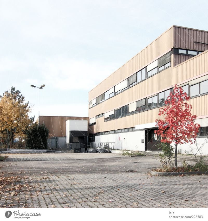 immobilieninvestment Himmel Herbst Pflanze Baum Haus Industrieanlage Fabrik Platz Bauwerk Gebäude Architektur Mauer Wand Fassade Fenster Tür trist Farbfoto