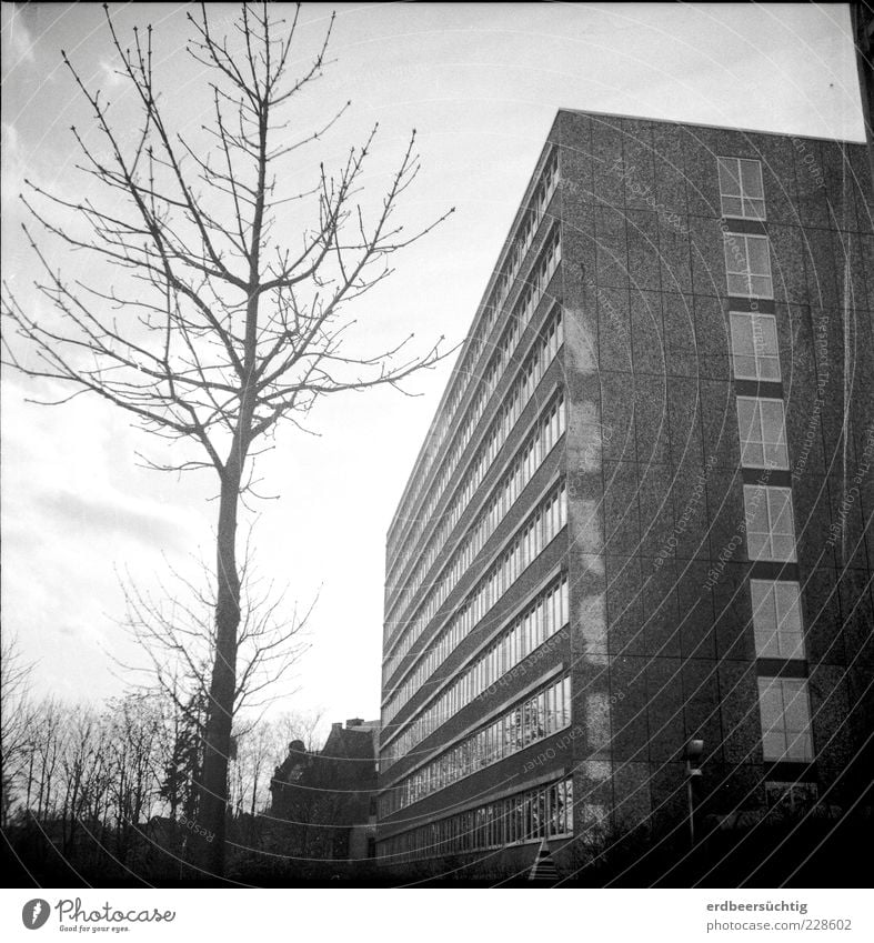 Bonjour Tristesse Menschenleer Haus Plattenbau Fassade Fenster Container Beton Glas hässlich grau Armut Gesellschaft (Soziologie) kalt Vergänglichkeit Winter