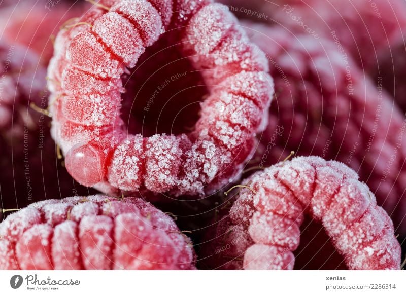 Eiskalt, gefroren und süße Himbeeren Frucht Ernährung Bioprodukte Vegetarische Ernährung Tiefkühlkost Gesunde Ernährung frisch Gesundheit lecker rot gekühlt