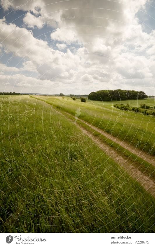 Raus ins Grüne Ferne Umwelt Natur Landschaft Himmel Wolken Frühling Sommer Klima Schönes Wetter Wiese Feld Wege & Pfade Fußweg Erholung Mecklenburg-Vorpommern