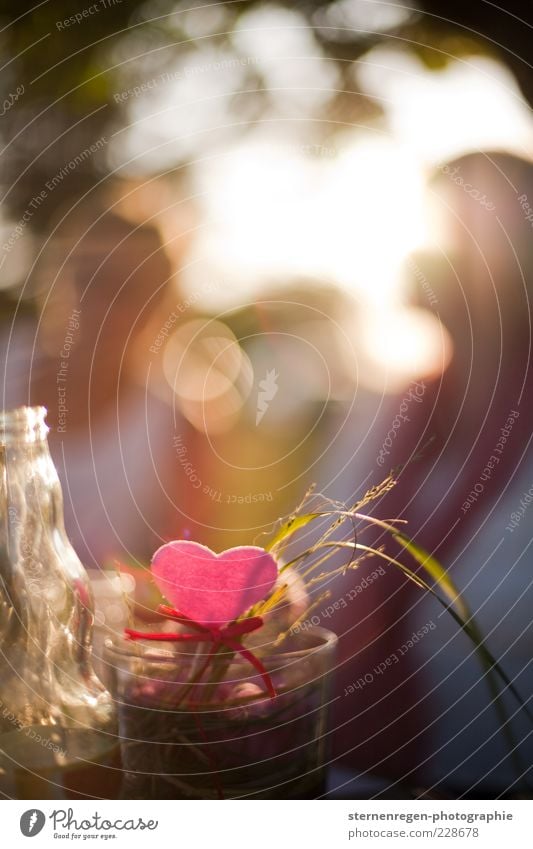 herzchen. Freude Glück harmonisch Zufriedenheit Dekoration & Verzierung Valentinstag Garten Glas Herz glänzend genießen Lächeln leuchten träumen Fröhlichkeit