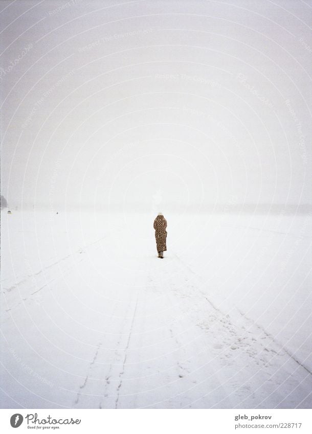 Doc #strand Mensch 1 Natur Landschaft Urelemente Himmel Horizont Winter Klima Wetter Strand warten Einsamkeit Jeleznogorsk Russland schön ästhetisch