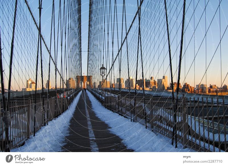 Brooklyn Bridge Ferien & Urlaub & Reisen Tourismus Sightseeing Städtereise Architektur New York City Manhattan USA Stadt Stadtzentrum Skyline Haus Brücke