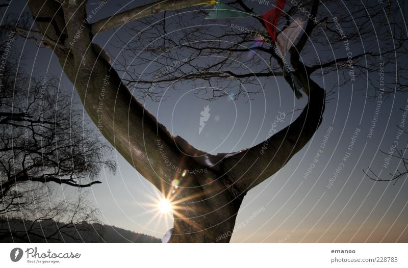 Y 2 Natur Landschaft Pflanze Himmel Sonne Winter Klima Schönes Wetter Baum Zeichen außergewöhnlich blau Tibet Fahne Gebetsfahnen Sonnenenergie Blendenfleck