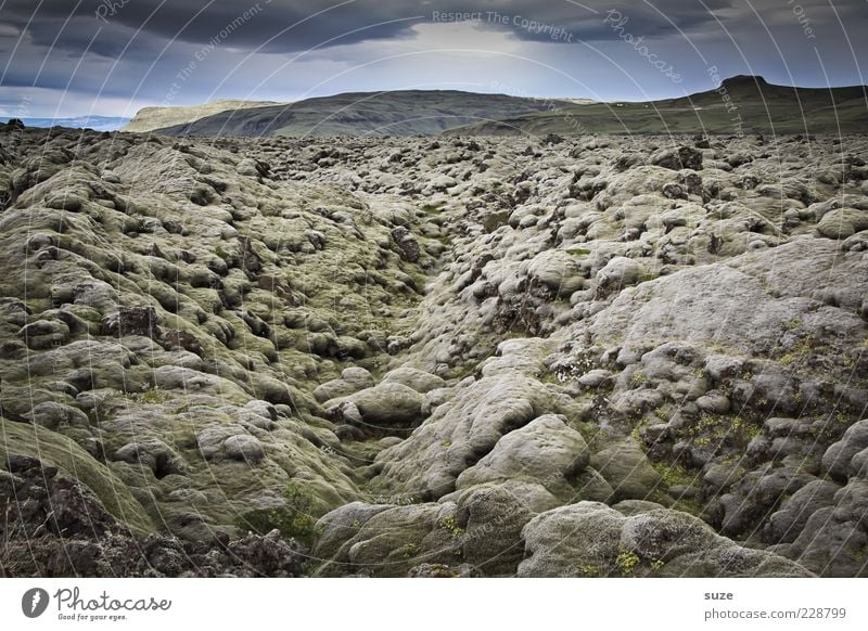 Glotzen & Kleckern Umwelt Natur Landschaft Urelemente Himmel Wolken Horizont Klima Moos Hügel außergewöhnlich dunkel fantastisch Island Lava Gesteinsformationen