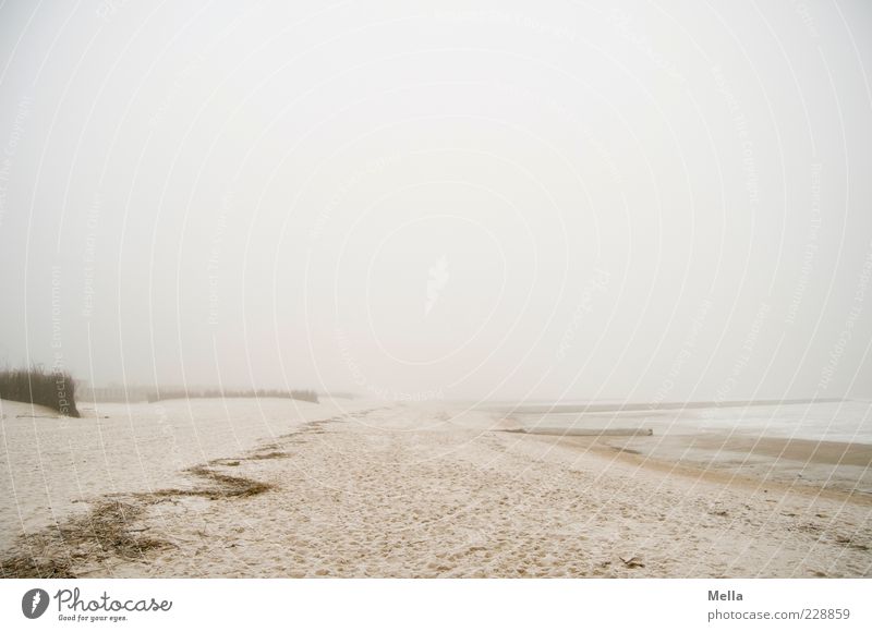 Gehen Strand Meer Umwelt Natur Landschaft Sand Nebel Küste Nordsee hell natürlich trist grau Einsamkeit Klima ruhig Stimmung Ferne Farbfoto Gedeckte Farben