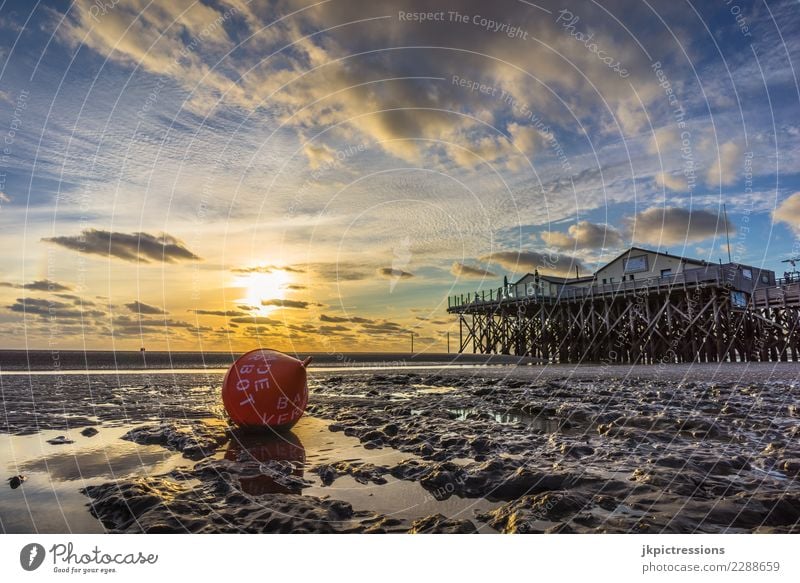 Sankt Peter Ording Sonnenuntergang Himmel Abenddämmerung Meer Landschaft Natur Licht Wasser Wolken Sand verträumt Ferne Unendlichkeit Holzpfahl Deutschland