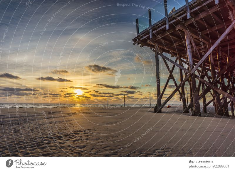 Sankt Peter Ording Sonnenuntergang Himmel Abenddämmerung Meer Landschaft Natur Licht Wasser Wolken Sand verträumt Ferne Unendlichkeit Holzpfahl Deutschland