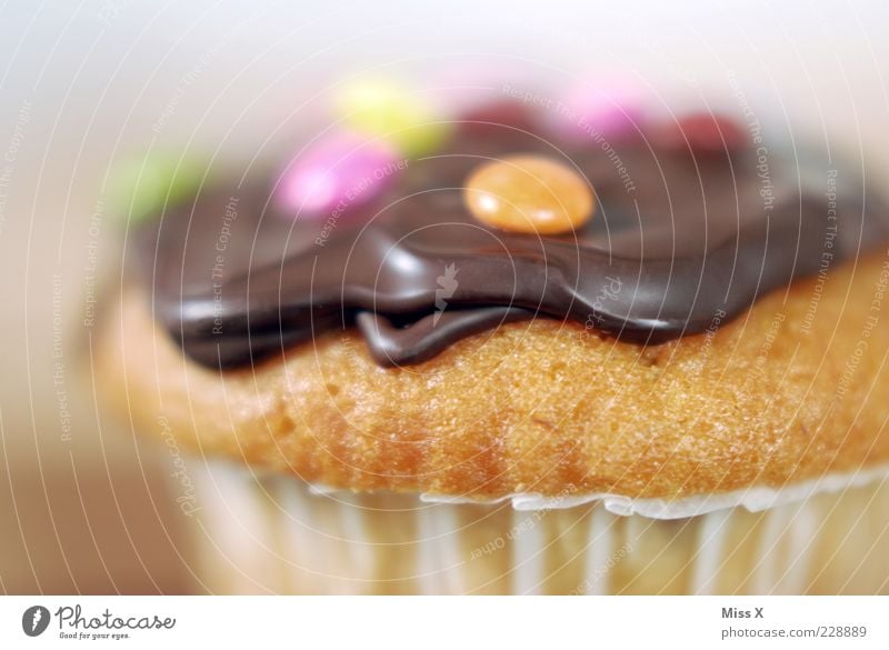 Muffin Lebensmittel Teigwaren Backwaren Kuchen Dessert Süßwaren Schokolade Ernährung klein lecker rund saftig süß Schokolinsen verziert Dekoration & Verzierung