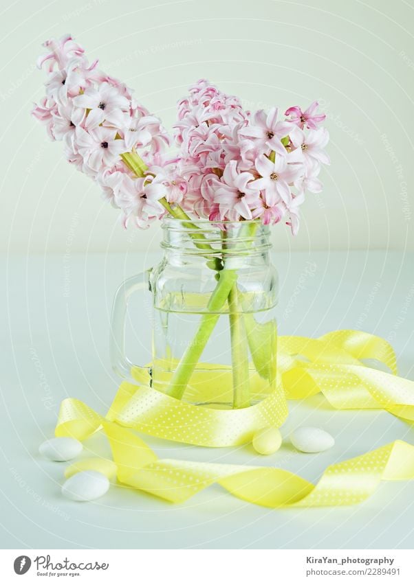 Konzept für Muttertag Geschenk und Frauentag schön Dekoration & Verzierung Valentinstag Ostern Geburtstag Veranstaltung Blüte Blumenstrauß Wasser Blühend frisch