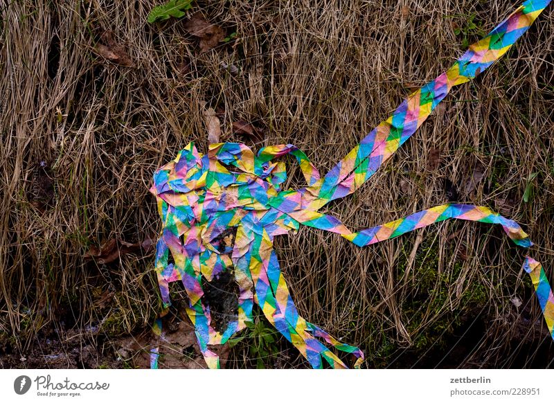 Aschermittwoch Natur Pflanze Gras Sträucher Wiese Papier alt Luftschlangen Dekoration & Verzierung mehrfarbig Konfetti Streifen Ende Farbfoto Außenaufnahme