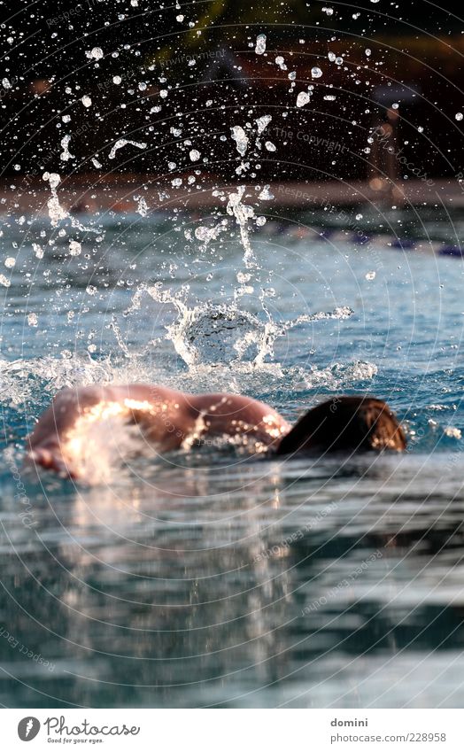 Frühschwimmer1 Mensch maskulin Mann Erwachsene Bewegung blau schwarz weiß Fitness Sport Farbfoto Außenaufnahme Textfreiraum oben Textfreiraum unten Morgen