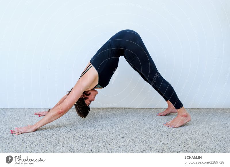 Yogaschüler, die verschiedene Yogastellungen zeigen. Lifestyle Erholung Sport Erwachsene einzigartig Identität Yin Yang Yoga Ausbildung adho mukha svanasana